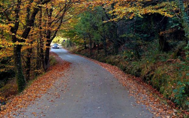 Roadtrip de outono: 5 rotas para descobrir Portugal depois do verão 3 Way2Rentals geres