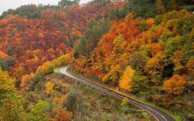 A solução 51 Roadtrip de outono: 5 rotas para descobrir Portugal depois do verão